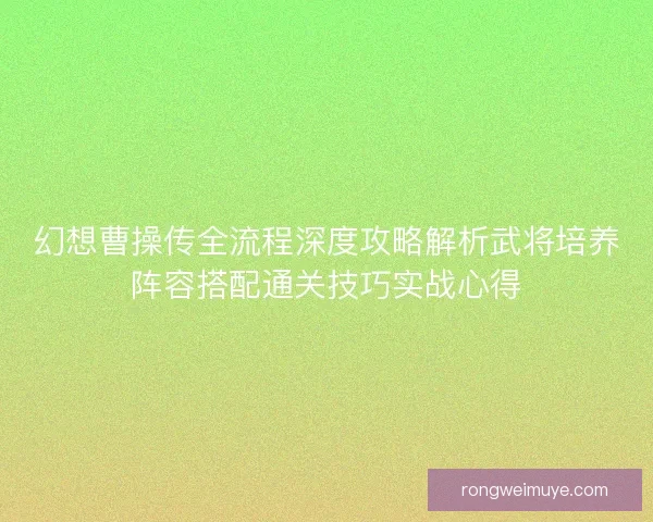 幻想曹操传全流程深度攻略解析武将培养阵容搭配通关技巧实战心得