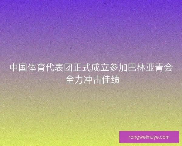 中国体育代表团正式成立参加巴林亚青会 全力冲击佳绩